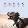 Smart Dog Gps Tracker Ip67 Waterproof Tracking Collar
