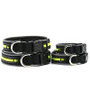 Light Reflective Neoprene Nylon Pet Cat Dog Collar