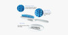 Easy Dry Hair Brush