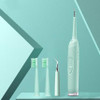 Rechargeable Electric Tartar Scraper & Toothbrush, With LED Light, High Frequency Vibration & Adjustable Modes