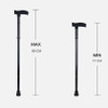 Folding Cane