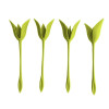 Flower Napkin Holders
