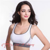 Sexy women fitness bra padded compression sport bra top Sportswear Quick dry elastic crop top sexy running top