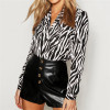 Blouses Long Sleeve Turn Down Collar Chiffon Blouse