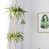 Set of Macrame Hangers