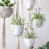 Set of Macrame Hangers