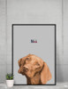 'State Flag Love to the Bone' Custom Framed Pet Portrait Art - Multiple Sizes