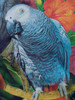 Casual Crew Neck Floral Bird Printed T-Shirt