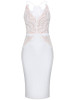 Casual Exquisite Spaghetti Strap Decorative Lace Bodycon Dress