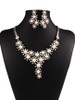 Casual Luxurious Flower Shaped Pearl Necklace And Earring Casual Luxurious Flower Shaped Pearl Necklace And Earring