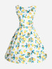 Casual Boat Neck Printed Skater Dress