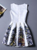 Casual Round Neck Unique Printed Sleeveless Skater Dress