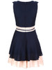Casual Ladylike Color Block Round Neck Bowknot Chiffon Skater Dress