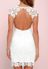 Casual White Patchwork Hollow-out Lace Zipper Backless Round Neck Mini Dress