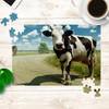 Cow Jigsaw Puzzle