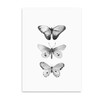 Nordic Style Canvas Art Print Painting Poster, Butterfly Wall Pictures for Home Decoration, Wall Decor BW006 Nordic Style Canvas Art Print Painting Poster, Butterfly Wall Pictures for Home Decoration, Wall Decor BW006