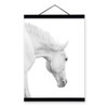 Black White Horse Posters Prints Nordic Style Home Decor Living Room Big Scroll Wall Art Pictures Wooden Framed Canvas Paintings