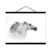 Black White Horse Posters Prints Nordic Style Home Decor Living Room Big Scroll Wall Art Pictures Wooden Framed Canvas Paintings