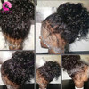 Glueless Curly Lace Front Human Hair Wigs Pre Plucked For Women Natural Black Brazilian Remy Lace Front Wigs With Baby Hair Eva