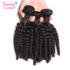 Malaysian Afro Kinky Curly Weave Human Hair Bundles Can Buy 3/4 Bundles Hair Extension BEAUTY LUEEN Non-Remy Hair Weaving