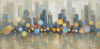 Night View New York City Skyline Night View New York City Skyline