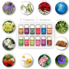12 Bottles Aromatherapy Essential Oils for ASMR/SPA Treatments