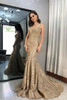 Vintage Mermaid Prom Dress Sweep Train Sleeveless V Neck Party Dress P859