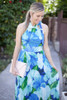 Chiffon Printed Halter Sleeveless Backless Boho Beach Maxi Dress