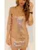 Sexy Sequined Perspective Long Sleeve Bodycon Dress