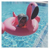 Baby Inflatable Flamingo Pool Float Pink Ride-On Swimming Ring White Swan Floating Water Holiday