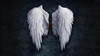 Black and White Angel wings Canvas Paintings on the Wall Art Posters and Prints Wings Abstract Wall Pictures Home Decoration Black and White Angel wings Canvas Paintings on the Wall Art Posters and Prints Wings Abstract Wall Pictures Home Decoration