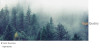 Nordic Decoration Forest Lanscape Wall Art Canvas Poster and Print Canvas Painting