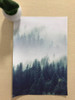 Nordic Decoration Forest Lanscape Wall Art Canvas Poster and Print Canvas Painting