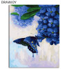 DRAWJOY Framed Picture Painting & Calligraphy Of Loely Animals  DIY Painting By Numbers Coloring By Numbers