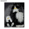 DRAWJOY Framed Picture Painting & Calligraphy Of Loely Animals  DIY Painting By Numbers Coloring By Numbers