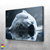 Polar bear