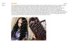 Loose Deep Wave Peruvian Hair Bundle Extensions