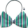 Newport Beach - Fun Party Themed Bowtie 2-Pack set with Charm Accessory for Dogs or Cats