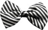 Super Fun & Festive Bow Tie for Small Dogs in Moxie
