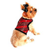 Doggie Design Ruby Black Brocade Jeweled Plush Faux Fur Harness Vest with matching Leash