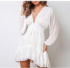 Plunge Neck Lace-Trimmed Minidress