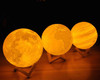 Peaceful Earth Lamp