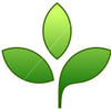 Paquete completo  de Hierbas para Ochosi-Bunch of plants for Oshosi