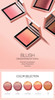 Face Blush Palette