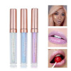 Lip Gloss Lipstick
