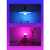 Xiaomi Yeelight Smart LED Bulb