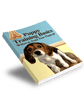 Puppy Training Basics
