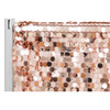 Payette Sequin  Fabric Backdrop background/10ft H x52"W