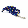 Flower Power Daisy Collar & Leash Set
