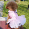Princess Dress with Sequin Patterned Bodice